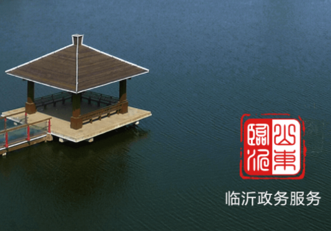 临沂政务服务[图1]
