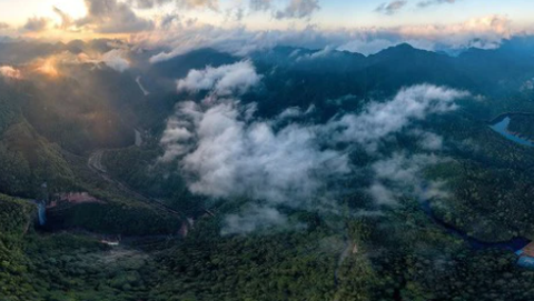 极简桌面天气[图3]