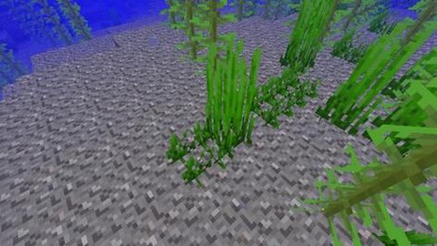 迷你世界海草有什么用[图1]