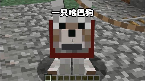 我的世界狗有什么用[图1]