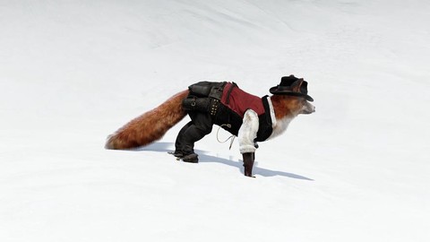 荒野大镖客狐狸用什么[图1]