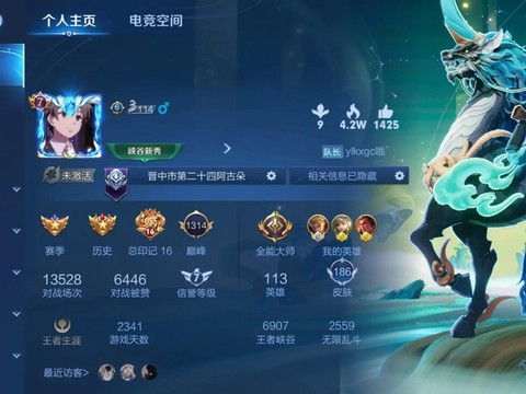 王者荣耀怎么没名字