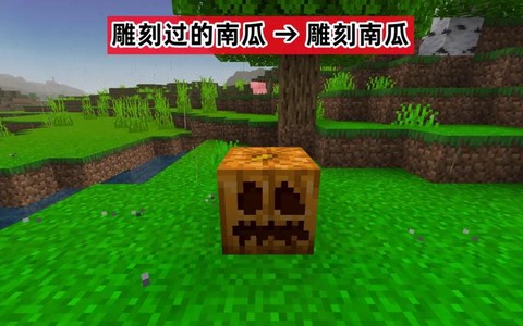 我的世界怎么雕刻南瓜[图2]