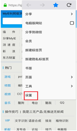 蚂蚁浏览器[图3]