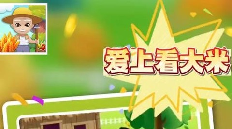 爱上看大米[图1]