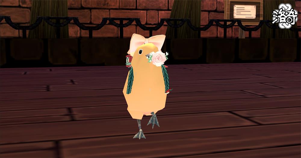 《洛奇》动物变身 让这个世界变得可爱！[图2]