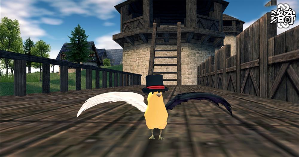 《洛奇》动物变身 让这个世界变得可爱！[图3]