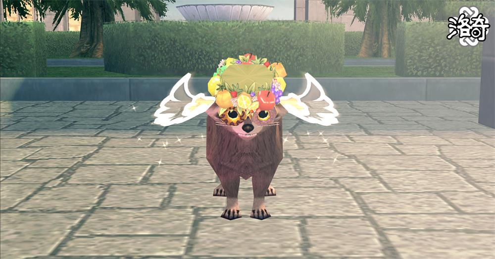 《洛奇》动物变身 让这个世界变得可爱！[图5]