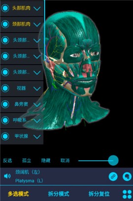 医维度解剖[图2]