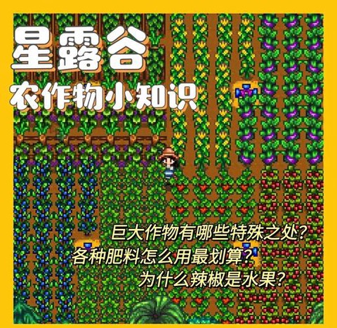 星露谷物语怎么种草[图1]