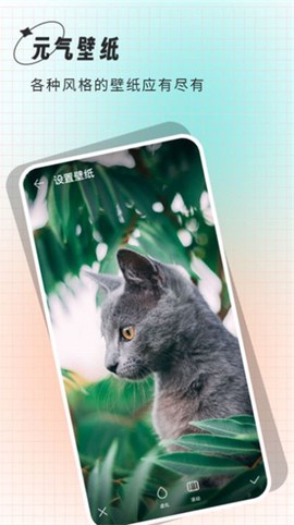 小鲸鱼壁纸[图1]