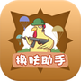 换肤助手
