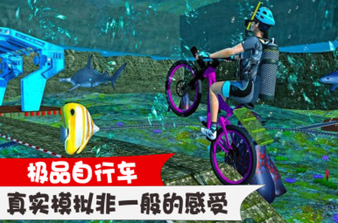 极品自行车[图1]