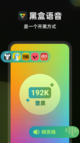 黑盒语音[图1]
