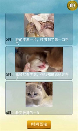 猫的一生重启模拟器[图1]