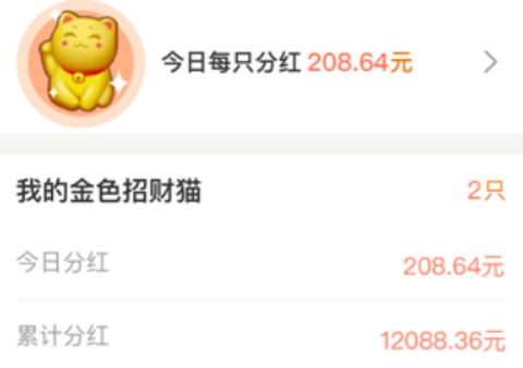 慧眼喵[图1]