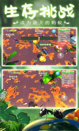 蚂蚁行军团[图1]