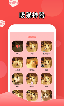 人猫交流器官方版截图3