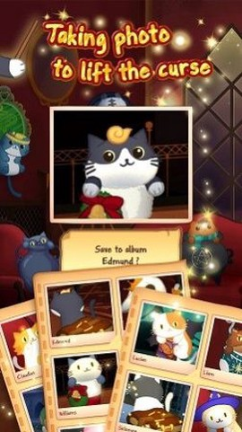 猫咪大厦[图1]