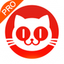 猫眼专业版