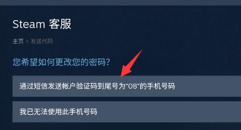 蒸汽平台（steam）[图9]