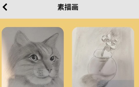次元喵绘画板[图1]