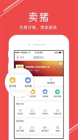 国家生猪市场[图1]