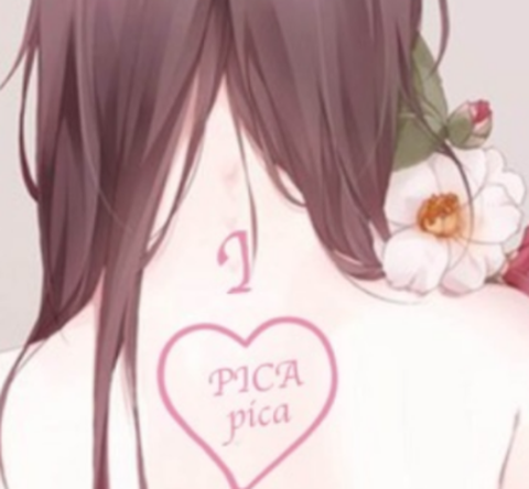 picacg哔咔安卓安装包[图2]