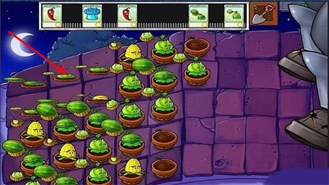 植物大战僵尸2存档版[图2]