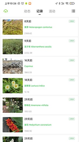 生命观察日记[图1]