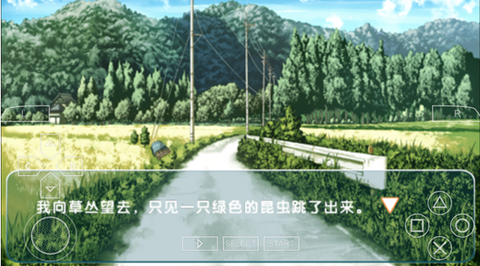 缘之空手游汉化版[图2]