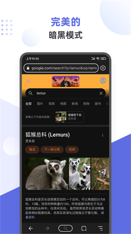 狐猴浏览器截图2