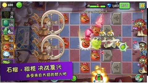 植物超进化[图1]
