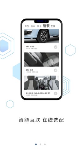 瑞风汽车[图2]